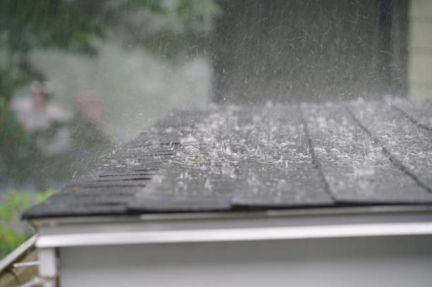 Best Gutter Installation and Repair  in Osakis, MN